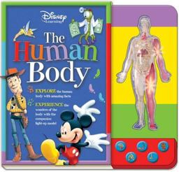 The Human Body