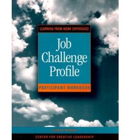Job Challenge Profile