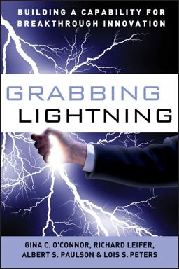 Grabbing Lightning Building a Capability for Breakthrough Innovation  9780787996642 Front Cover