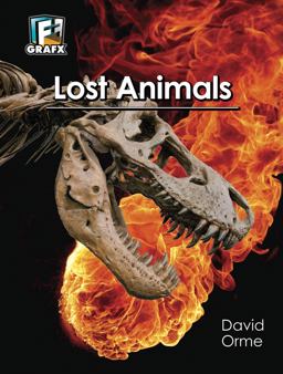 Lost Animals