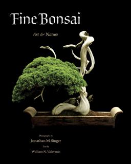 Fine Bonsai Art and Nature  9780789211125 Front Cover