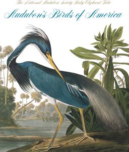 Audubon's Birds of America The Audubon Society Baby Elephant Folio  9780789211354 Front Cover