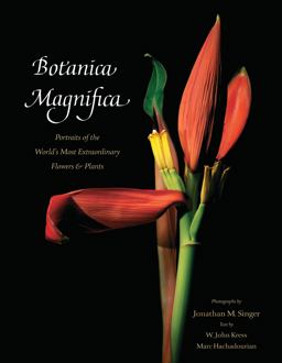 Botanica Magnifica: Portraits of the World's Most Extraordinary Flowers and Plants  9780789211378 Front Cover