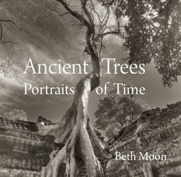 Ancient Trees Portraits of Time  9780789211958 Front Cover