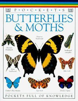 Butterflies and Moths