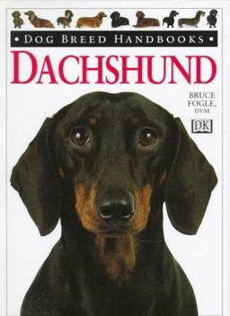 Dachshund
