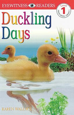 DK Readers L1: Duckling Days  9780789439949 Front Cover
