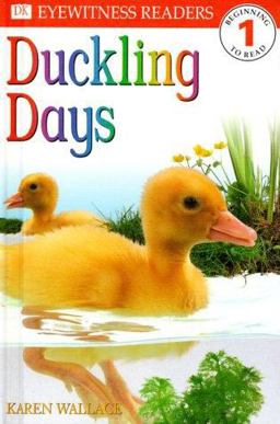 Duckling Days, Level 1