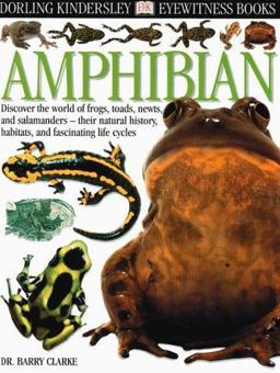 Amphibian