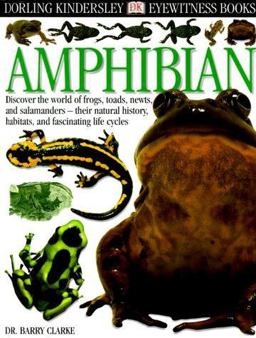 Amphibian