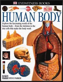 Human Body