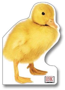 Duckling