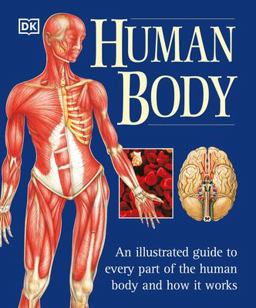 Human Body An Illustrated Guide to Every Part of the Human Body and How It Works  9780789479884 Front Cover