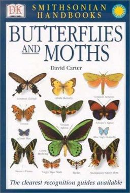 Butterflies and Moths The Clearest Recognition Guide Available  9780789489838 Front Cover