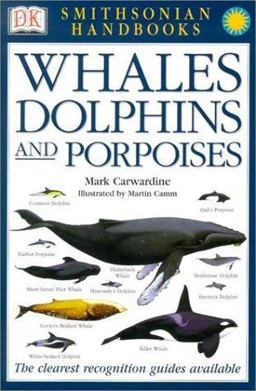 Handbooks: Whales and Dolphins The Clearest Recognition Guide Available  9780789489906 Front Cover