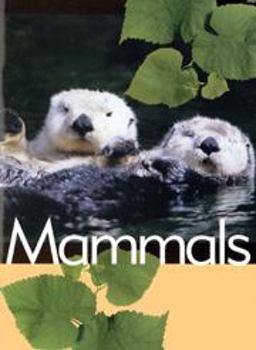 Mammals Mammals