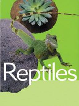 Reptiles Reptiles