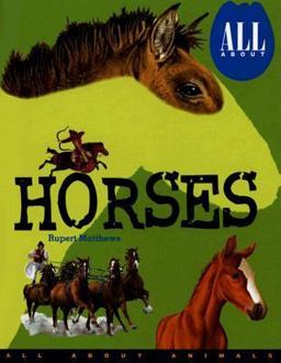All about Horses
