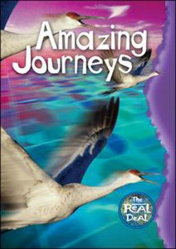 Amazing Journeys