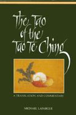 Tao of the Tao Te Ching A Translation and Commentary  9780791409862 Front Cover