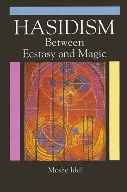 Hasidism Between Ecstasy and Magic  9780791417348 Front Cover