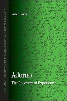 Adorno The Recovery of Experience  9780791472095 Front Cover