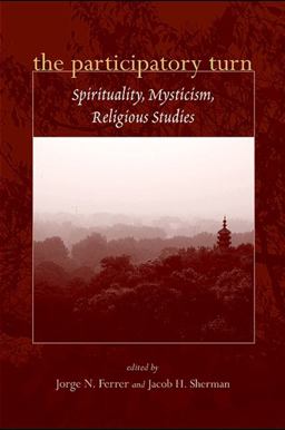 Participatory Turn Spirituality, Mysticism, Religious Studies  9780791476024 Front Cover