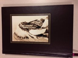 Trail to Wounded Knee