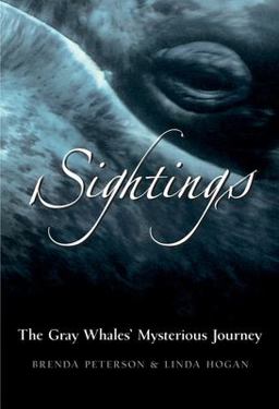 Sightings The Gray Whales' Mysterious Journey  9780792241027 Front Cover