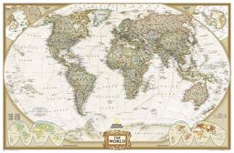 National Geographic: World Map - Decorator Edition - Laminated Wall Map (46 x 30.5 inches)