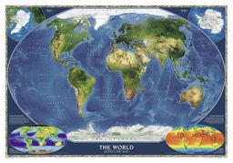 National Geographic: World Map - Decorator Edition - Laminated Wall Map (46 x 30.5 inches)