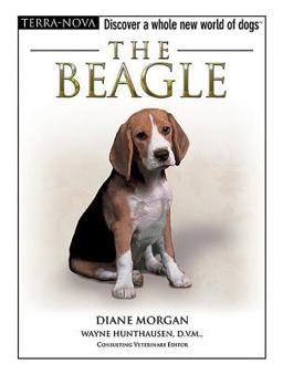 The Beagle