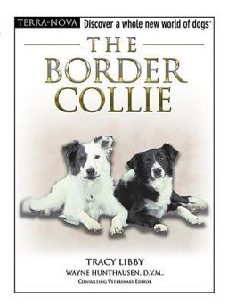 The Border Collie