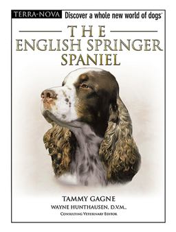 The English Springer Spaniel