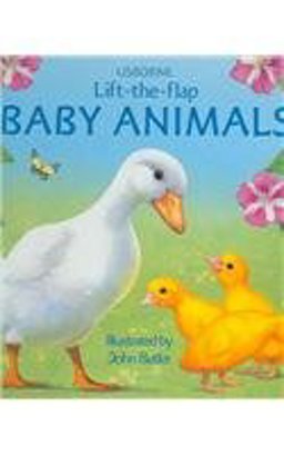 Baby Animals Lift-the-Flap