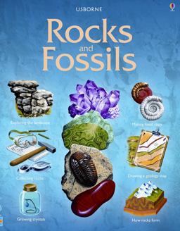 Rocks and Fossils