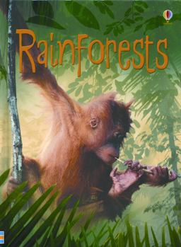 Rainforest (Level 2) - Internet Referenced