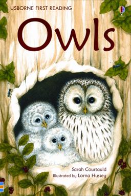 Owls Owls