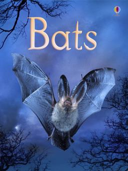Bats