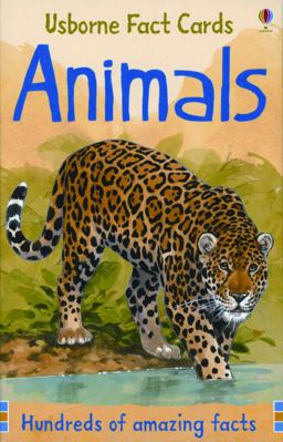 Animal Facts Cards