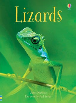 Lizards IR