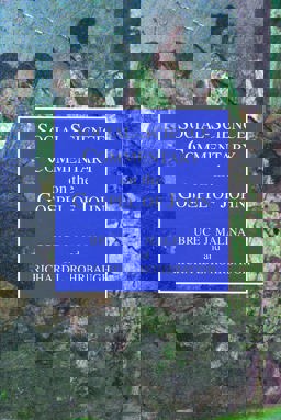 Social-Science Commentary on the Gospel of John  9780800629922 Front Cover