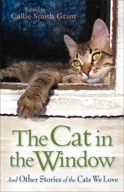 Cat in the Window And Other Stories of the Cats We Love  9780800721800 Front Cover