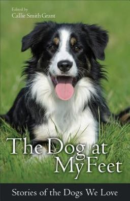 Dog at My Feet Stories of the Dogs We Love  9780800723095 Front Cover