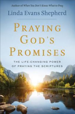 Praying God's Promises The Life-Changing Power of Praying the Scriptures  9780800723897 Front Cover