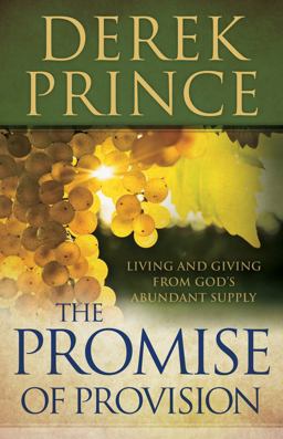The Promise of Provision The Promise of Provision