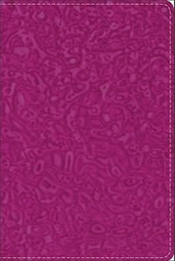 GW Compact Bible Raspberry Swirl Duravella