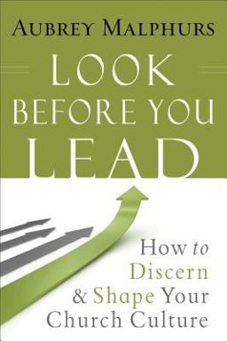 Look Before You Lead How to Discern and Shape Your Church Culture  9780801015076 Front Cover