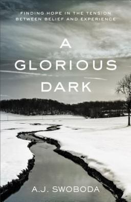 Glorious Dark Finding Hope in the Tension Between Belief and Experience  9780801016967 Front Cover