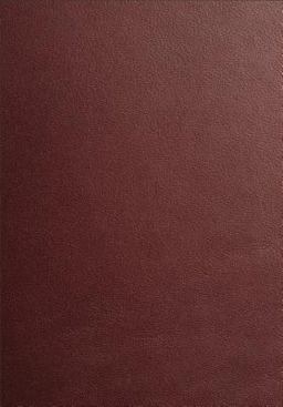 Baker Wedding Handbook Resources for Pastors  9780801019678 Front Cover